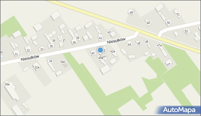 Niesułków, Niesułków, 40a, mapa Niesułków