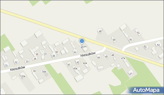 Niesułków, Niesułków, 43, mapa Niesułków