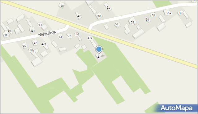 Niesułków, Niesułków, 47, mapa Niesułków
