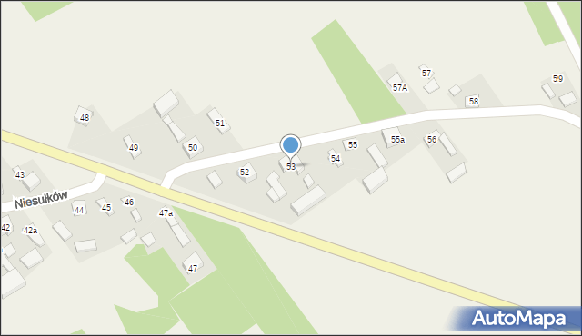 Niesułków, Niesułków, 53, mapa Niesułków