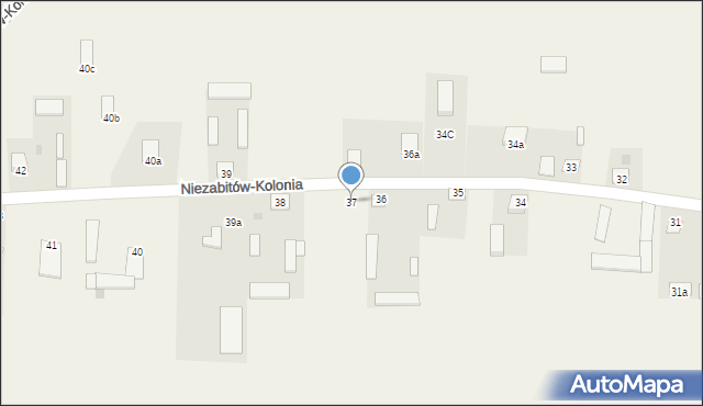 Niezabitów-Kolonia, Niezabitów-Kolonia, 37, mapa Niezabitów-Kolonia