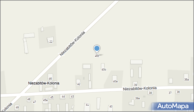 Niezabitów-Kolonia, Niezabitów-Kolonia, 40c, mapa Niezabitów-Kolonia