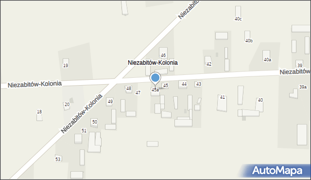 Niezabitów-Kolonia, Niezabitów-Kolonia, 45a, mapa Niezabitów-Kolonia