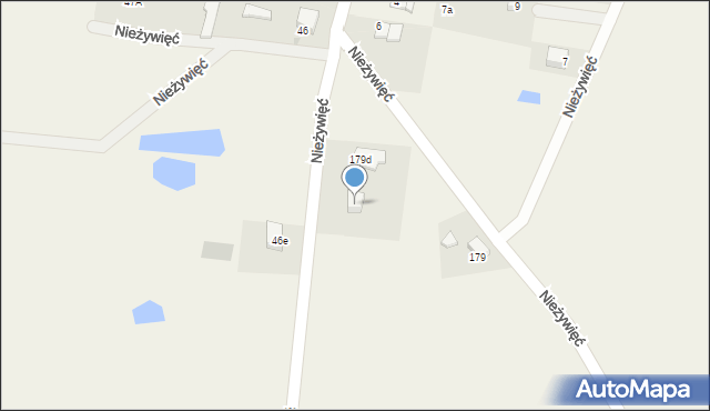 Nieżywięć, Nieżywięć, 179c, mapa Nieżywięć