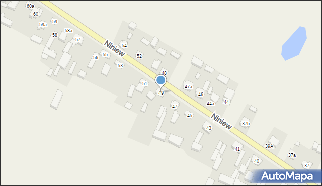 Niniew, Niniew, 49, mapa Niniew