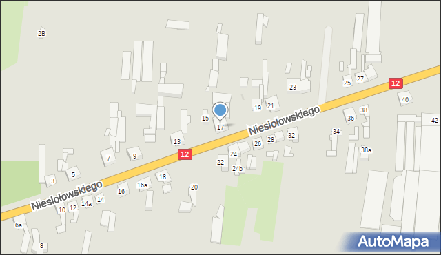 Pleszew, Niesiołowskiego Kazimierza, ks., 17, mapa Pleszew