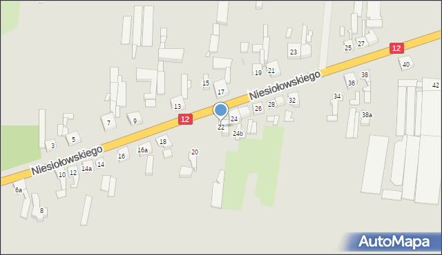 Pleszew, Niesiołowskiego Kazimierza, ks., 22, mapa Pleszew