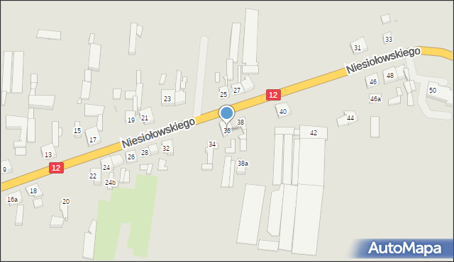 Pleszew, Niesiołowskiego Kazimierza, ks., 36, mapa Pleszew