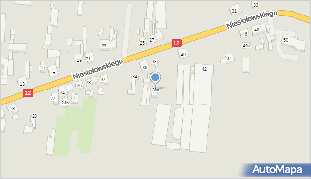 Pleszew, Niesiołowskiego Kazimierza, ks., 38a, mapa Pleszew