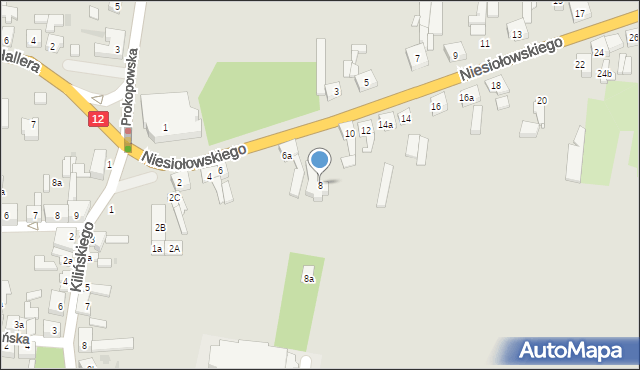 Pleszew, Niesiołowskiego Kazimierza, ks., 8, mapa Pleszew