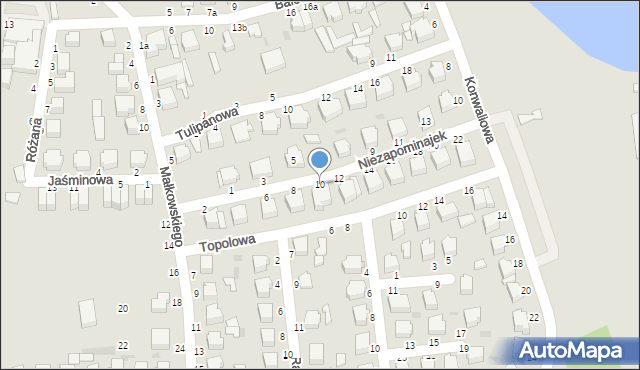 Skierniewice, Niezapominajek, 10, mapa Skierniewic