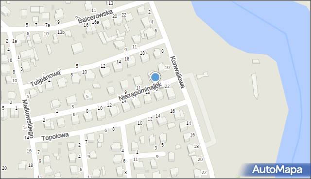 Skierniewice, Niezapominajek, 20, mapa Skierniewic