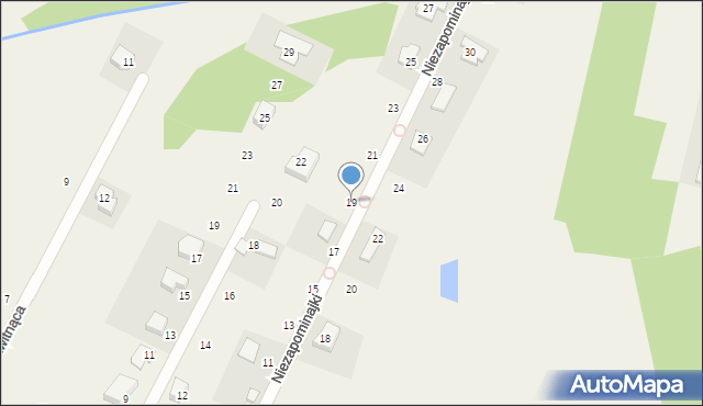 Wielgolas Brzeziński, Niezapominajki, 19, mapa Wielgolas Brzeziński