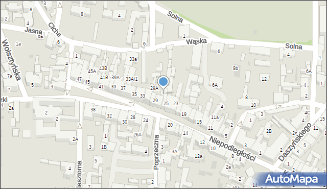 Wschowa, Niepodległości, 29A/1, mapa Wschowa