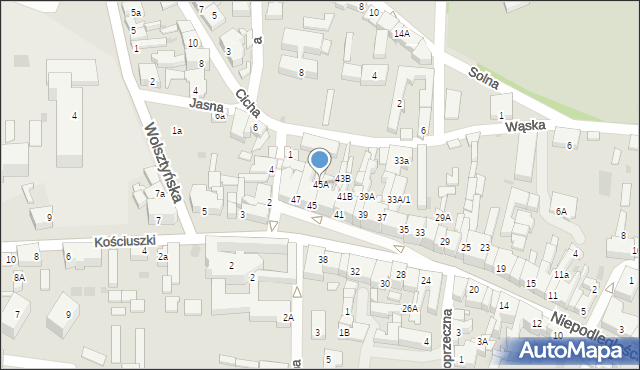 Wschowa, Niepodległości, 45A, mapa Wschowa