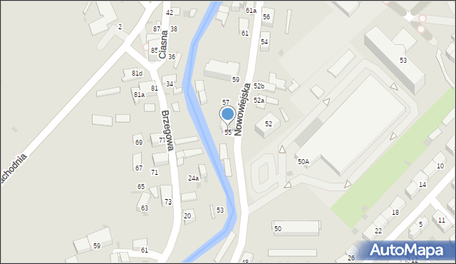 Dzierżoniów, Nowowiejska, 55, mapa Dzierżoniów