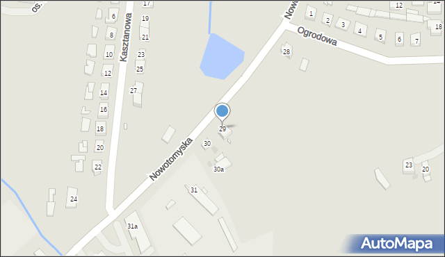 Lwówek, Nowotomyska, 29, mapa Lwówek