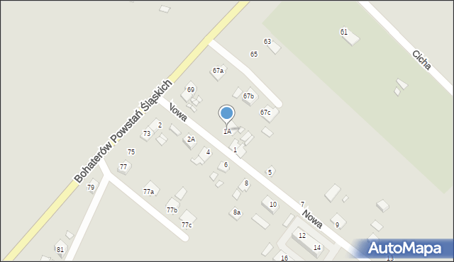 Niemodlin, Nowa, 1A, mapa Niemodlin