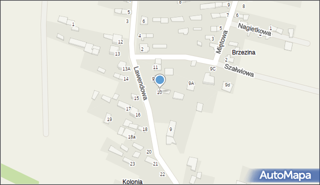 Nowy Dziebałtów, Nowy Dziebałtów, 10, mapa Nowy Dziebałtów