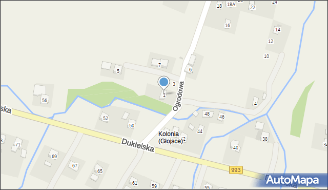 Głojsce, Ogrodowa, 1, mapa Głojsce