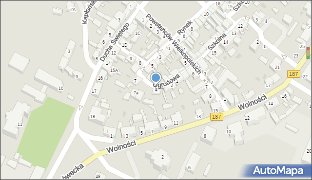 Pniewy, Ogrodowa, 4, mapa Pniewy