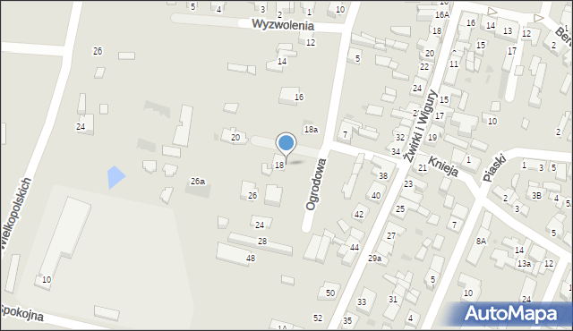 Ślesin, Ogrodowa, 22, mapa Ślesin