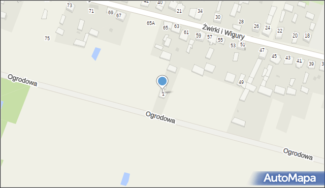 Widzów, Ogrodowa, 1, mapa Widzów