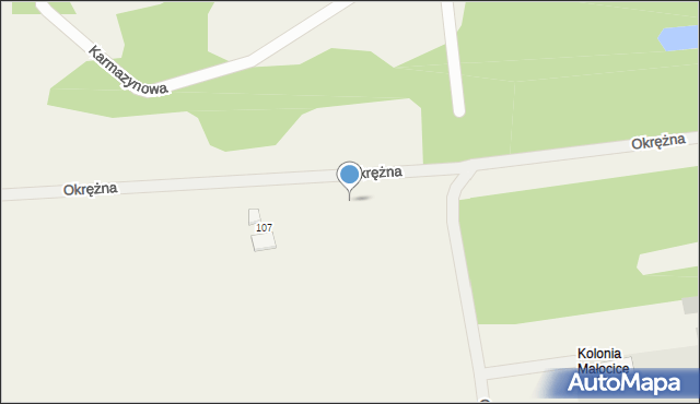 Małocice, Okrężna, 101, mapa Małocice