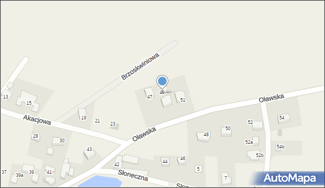 Borek Strzeliński, Oławska, 49, mapa Borek Strzeliński