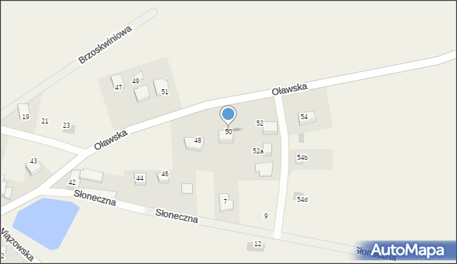 Borek Strzeliński, Oławska, 50, mapa Borek Strzeliński