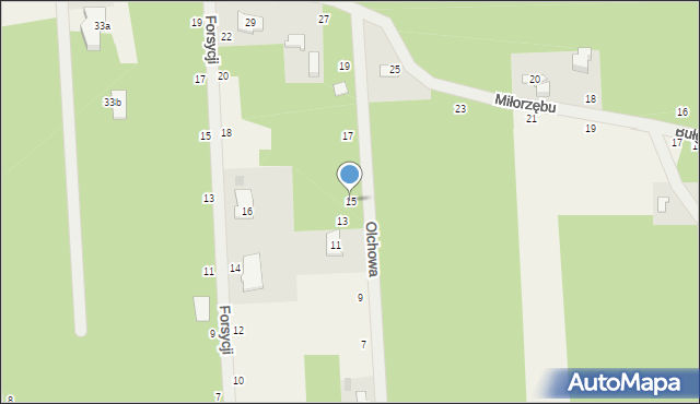 Czarny Las, Olchowa, 15, mapa Czarny Las