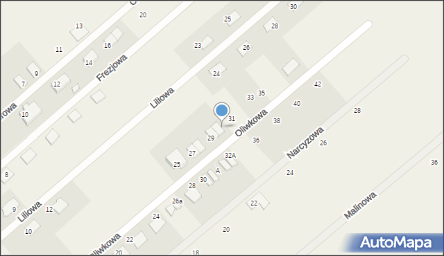 Grzędzice, Oliwkowa, 29a, mapa Grzędzice