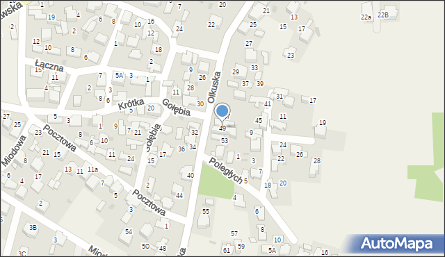 Klucze, Olkuska, 49, mapa Klucze