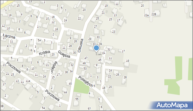 Klucze, Olkuska, 49a, mapa Klucze