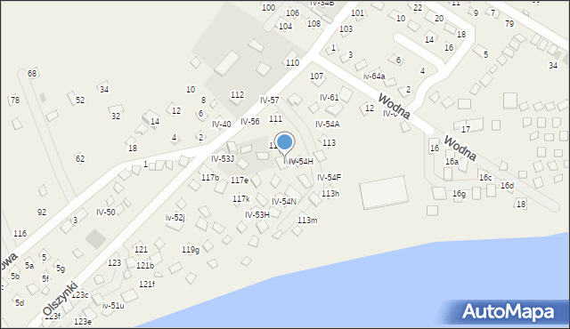 Okuninka, Olszynki, 113c, mapa Okuninka