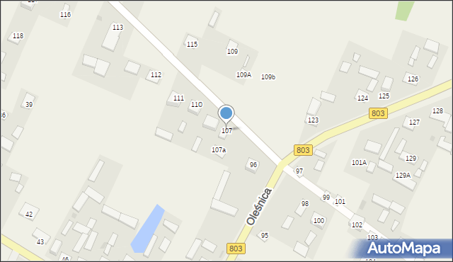 Oleśnica, Oleśnica, 107, mapa Oleśnica