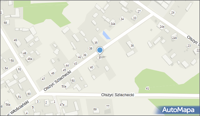 Olszyc Szlachecki, Olszyc Szlachecki, 37, mapa Olszyc Szlachecki