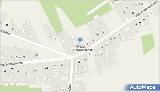 Olszyc Włościański, Olszyc Włościański, 44, mapa Olszyc Włościański