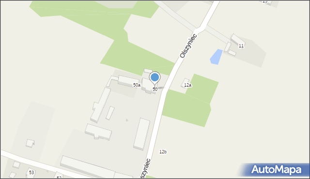 Olszyniec, Olszyniec, 50, mapa Olszyniec