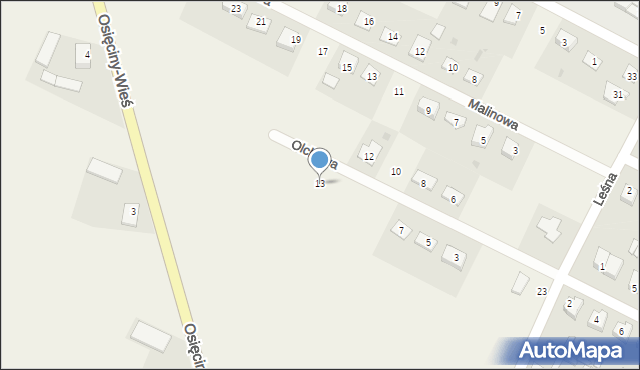 Osięciny, Olchowa, 13, mapa Osięciny
