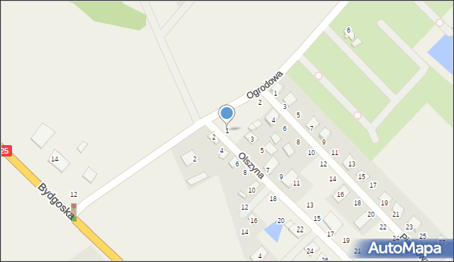 Prądocin, Olszyna, 1, mapa Prądocin