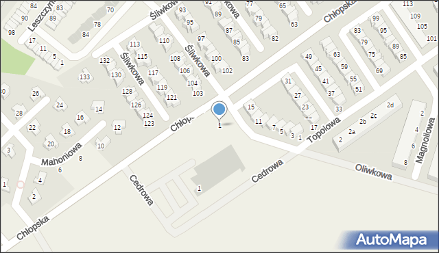 Smolec, Oliwkowa, 1, mapa Smolec