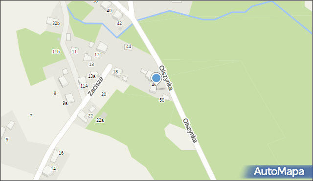 Żarki, Olszynka, 48, mapa Żarki