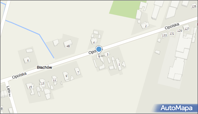 Błachów, Opolska, 5, mapa Błachów