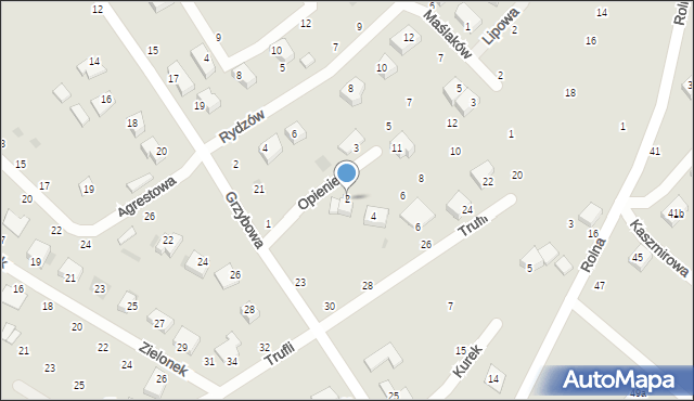 Koszalin, Opieniek, 2, mapa Koszalina