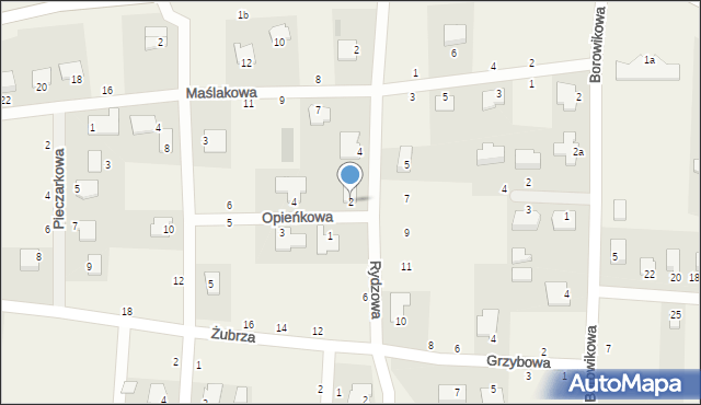 Łochowice, Opieńkowa, 2, mapa Łochowice