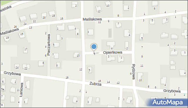 Łochowice, Opieńkowa, 5, mapa Łochowice
