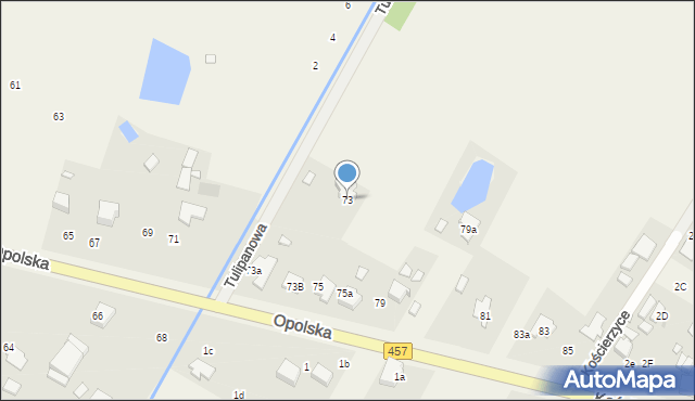 Pisarzowice, Opolska, 73, mapa Pisarzowice