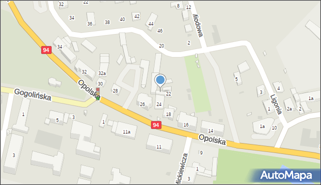 Strzelce Opolskie, Opolska, 22a, mapa Strzelce Opolskie