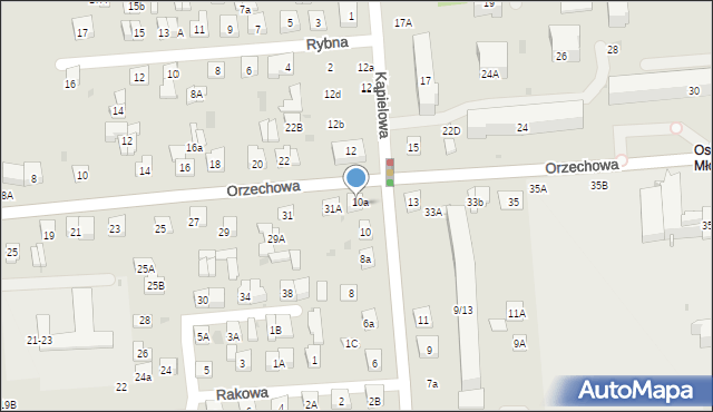 Biała Podlaska, Orzechowa, 31B, mapa Białej Podlaskiej